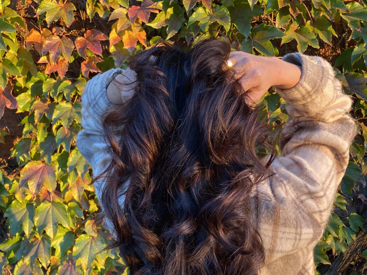 Hair Refresh: Beauty&nbsp;Edit