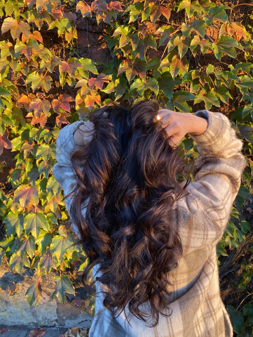 Hair Refresh: Beauty&nbsp;Edit